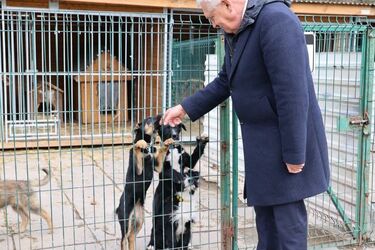 Schronisko dla zwierząt "Dolina Dolistówki"  zostanie rozbudowane. Za 2,3 miliona złotych