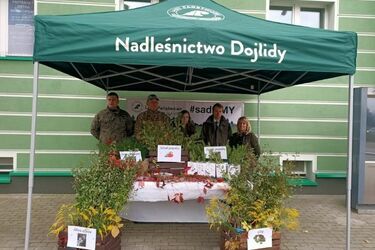 Odbierz bezpłatną sadzonkę. Rusza szósta edycja znanej akcji