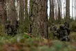 Szkolenie w ramach dobrowolnej zasadniczej służby wojskowej. Trwają zapisy!