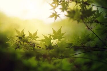 Wiosenny, ciepły weekend zakończymy pogodową niespodzianką!