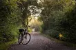 Weekend na Podlasiu. 7 najbardziej malowniczych tras rowerowych blisko Białegostoku