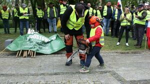 Widmo bankructwa. Podlaska branża drzewna woła o pomoc