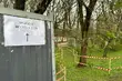Trwa remont na Plantach. Mimo tego dostęp do 