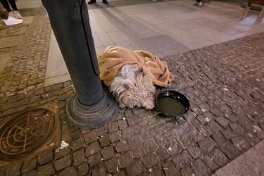 W centrum Białegostoku wyrzuciła psa z balkonu. Zakończył się proces apelacyjny