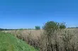 Jaka będzie dziś pogoda?  