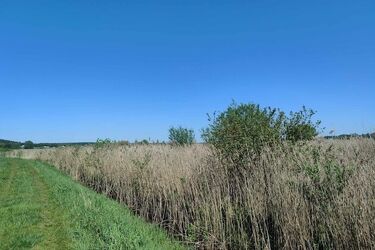 Jaka będzie dziś pogoda?  