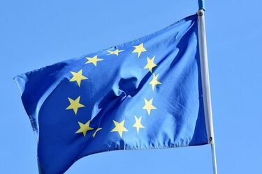 Wąsik, Frankowski i Hołownia. Znamy już pełne listy do Parlamentu Europejskiego