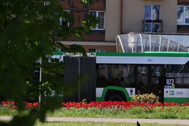 Szału nie było. Podsumowanie pierwszego weekendu z nocnymi autobusami