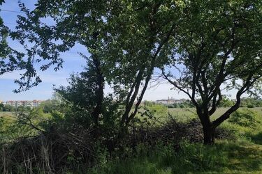 Czwartek przyniesie nam jeszcze więcej słońca!