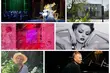 Nie masz pomysłu na weekend? Oto przegląd wydarzeń z naszego miasta