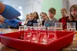 140 atrakcji i prawie 1300 uczestników. Trwa XX Podlaski Festiwal Nauki i Sztuki