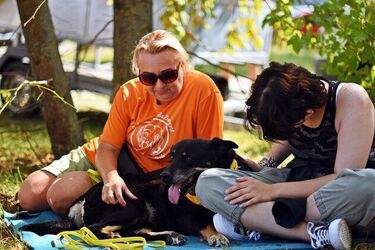 Nadchodzi majowy Piknik z Psem. To okazja do poznania czworonogów ze schroniska