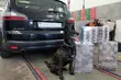 Chciał przetransportować kontrabandę. Plany pokrzyżowała mu Chica
