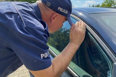 Dzieci i zwierzęta w samochodzie? Pod żadnym pozorem nie zostawiaj ich w aucie!