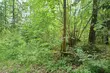 Do Białegostoku nadciągają ciemne chmury. Czy mamy spodziewać się ochłodzenia?