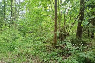 Do Białegostoku nadciągają ciemne chmury. Czy mamy spodziewać się ochłodzenia?