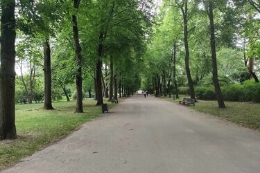 Jaką pogodą rozpoczniemy nowy tydzień?