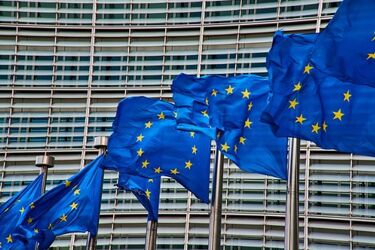 Wybory do Parlamentu Europejskiego. Oto kandydaci z Podlasia, Warmii i Mazur [LISTY]