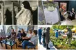 Festiwale, jarmark i wiele więcej. W ten weekend w Białymstoku nie będzie nudno!