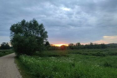 Pogoda we wtorek. Będzie gorąco!