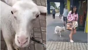 Morze oburzenia i żartów. Na ulicach Białegostoku pojawiła się kobieta z owcą na smyczy