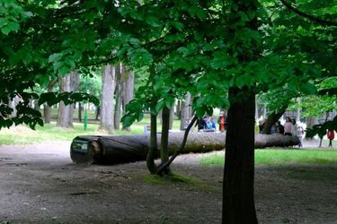 Nadchodzi Rodzinny Piknik Ekologiczny. W programie mnóstwo eko-atrakcji