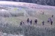 Atak na polską granicę. Cudzoziemcy próbowali wedrzeć się na terytorium kraju