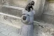 Osiem WidziMisiów pojawiło się w Białymstoku! Gdzie je znajdziemy?