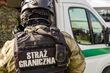 Zatrzymani kurierzy i ataki na mundurowych. Podlaska Straż Graniczna podała najnowsze dane