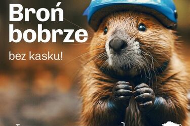 Podlaska kampania o bezpieczeństwie jest hitem internetu. W roli głównej zwierzęta