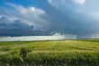 IMGW ostrzega. Alerty przed burzami i upałami w prawie całym kraju