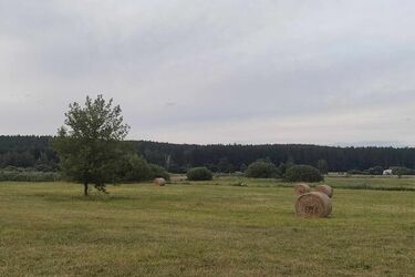 Weekendowy powrót upałów. W niedzielę znów będzie ekstremalnie