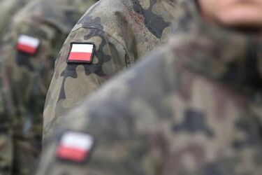 Wulgarne hasła, plucie i gołe pośladki. Grupa młodych ludzi znieważyła polskich żołnierzy