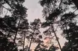 Ochłodzenie i deszcz. Wtorek przyniesie zmianę pogody