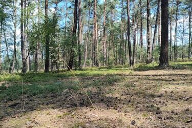 Gorąco, ale mokro i pochmurnie. Sprawdź prognozę pogody na środę