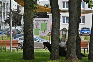 W lawendowym parku kieszonkowym pojawił się nowy element. Uchroni przed ptasią fizjologią 