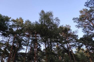 Ostatni weekend lipca! Jaka będzie pogoda?