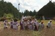 Jak kiedyś wyglądały żniwa na Podlasiu? Nadarza się okazja, aby to sprawdzić!
