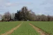 Magistrat sprzedaje działki. Zarobi na nich miliony