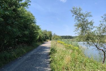 Będzie cieplej i mniej wietrznie! Sprawdź prognozę pogody na wtorek