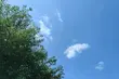Z jaką pogodą pożegnamy lipiec?
