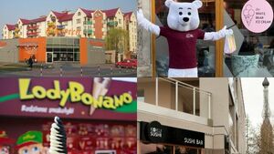 Szukasz pomysłu na biznes? Zobacz, które franczyzy z Podlasia zarabiają miliony
