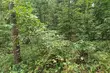 Środa bez deszczu. Do Białegostoku wracają upały