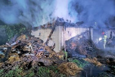 Zniszczone budynki, martwe zwierzęta. Skutki pożarów w Podlaskiem 
