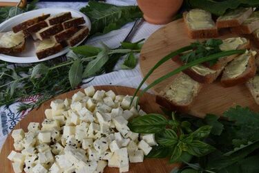 Będzie smacznie i po podlasku! W planie wiele atrakcji. Wstęp wolny