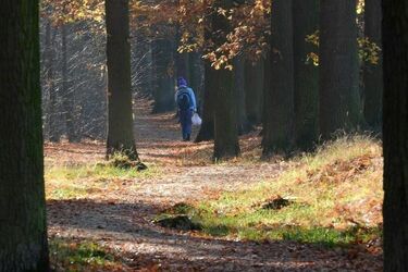 Ekstremalna susza w lasach. W Podlaskiem wprowadzono najwyższy stopień zagrożenia pożarem