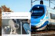 Nietypowy pasażer PKP Intercity. Na trasie do Białegostoku jechał baran w pieluszce