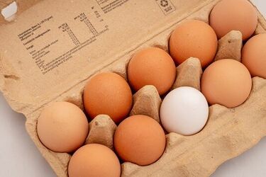 Uwaga na jajka! GIS ostrzega: wykryto obecność bakterii Salmonella