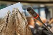 Zbliża się konferencja "Celiakia da się lubić". Będą ciekawe wykłady i spotkania