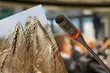 Zbliża się konferencja 